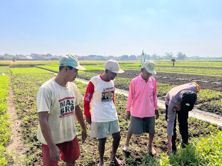 Optimalkan Perawatan Tanaman Sayur di Desa Lemujut, Dukung Ketahanan Pangan Lokal