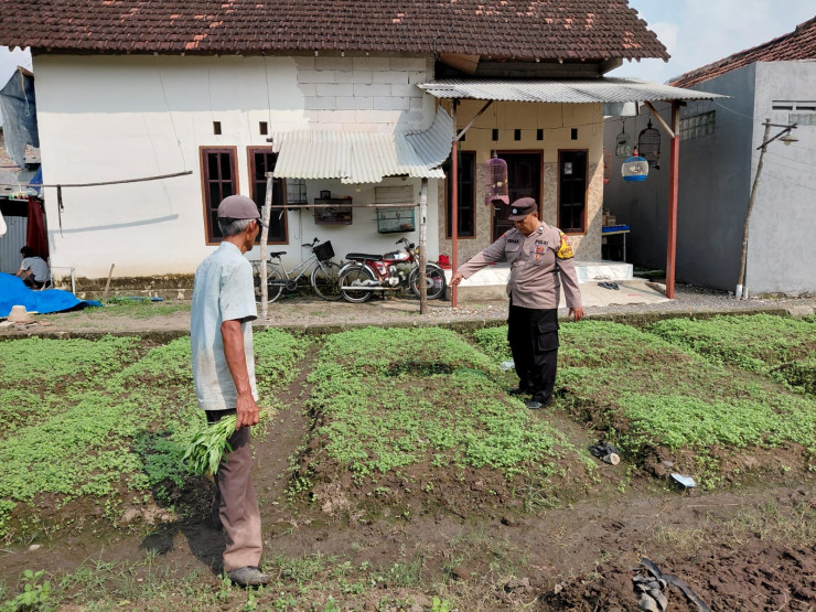 Polresta Sidoarjo | Warga Desa Pangkemiri Manfaatkan Lahan Pekarangan untuk Wujudkan Ketahanan Pangan Mandiri