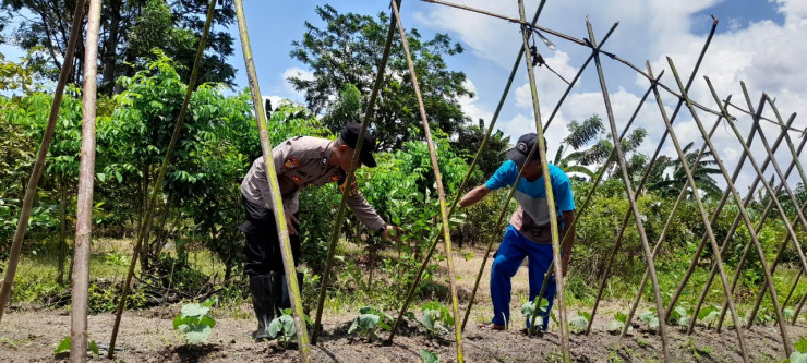 Polisi Cek Ketahanan Pangan di Desa Sambibulu