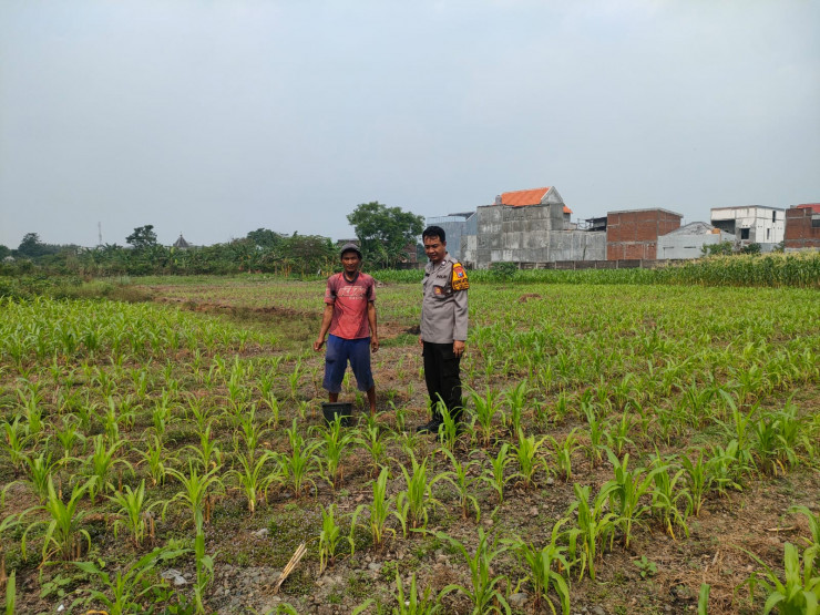 Kapolsek Gedangan Gerakkan Anggota Dampingi Warga Penggerak Ketahanan Pangan