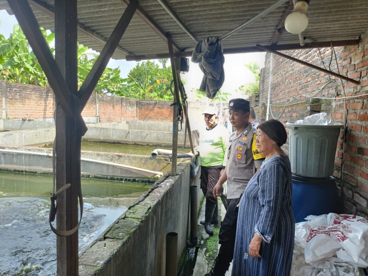 Warga Pamotan Porong Manfaatkan Lahan Kosong untuk Budidaya Ikan Lele, Dukung Ketahanan Pangan