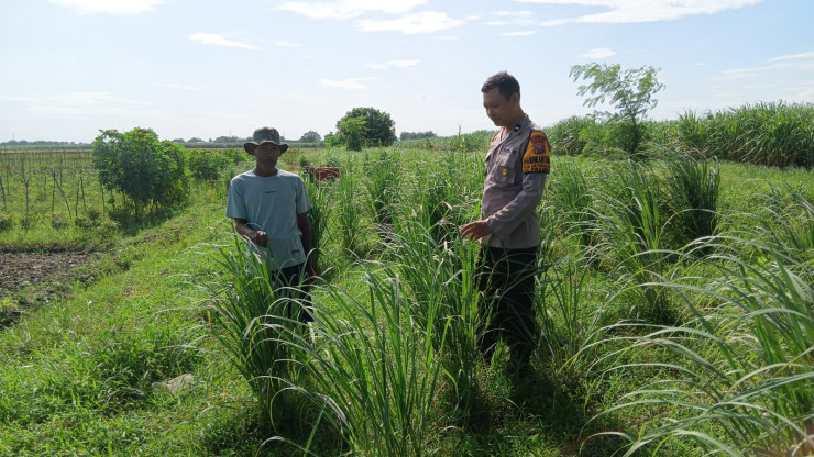 Bhabinkamtibmas Jatikalang Tinjau Tanaman Rempah, Dukung Swasembada Pangan Mandiri