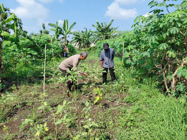 Bhabinkamtibmas Kemantren Koordinasi dengan Petani Terong dan Cabai Dukung Ketahanan Pangan