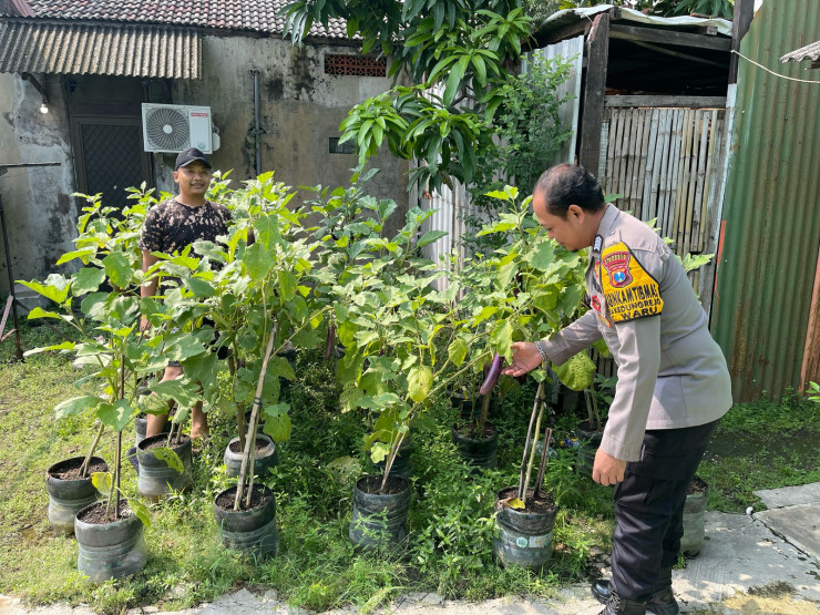 Bhabinkamtibmas Desa Kedungrejo Polsek Waru Cek Perkembangan Tanaman Sayur di Lahan Produktif Fasum Desa