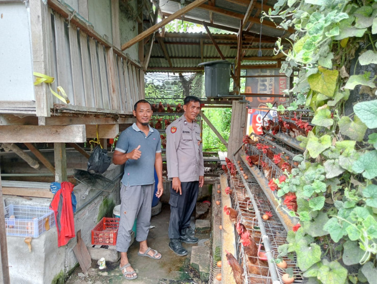 Bhabinkamtibmas Tulangan Tinjau Peternakan Unggas, Pastikan Ketahanan Pangan Berjalan Optimal