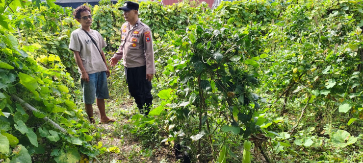 Polsek Taman Dampingi Warga Ngelom Budidaya Terong untuk Ketahanan Pangan