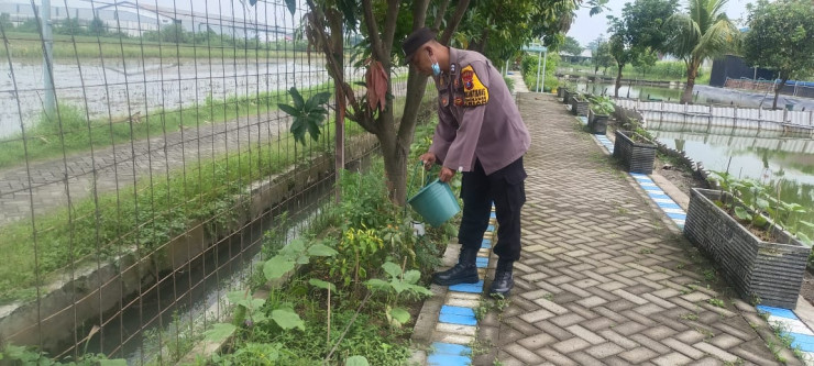 Dukung Ketahanan Pangan Polresta Sidoarjo Kelola Hidroponik dan Kolam Ikan