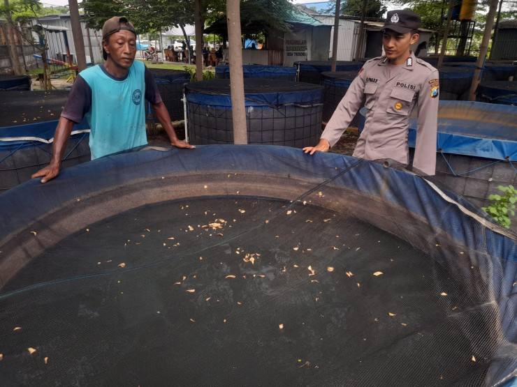 Bhabinkamtibmas Kalijaten Motivasi Warga Optimalkan Upaya Ketahanan Pangan Melalui Budidaya Lele
