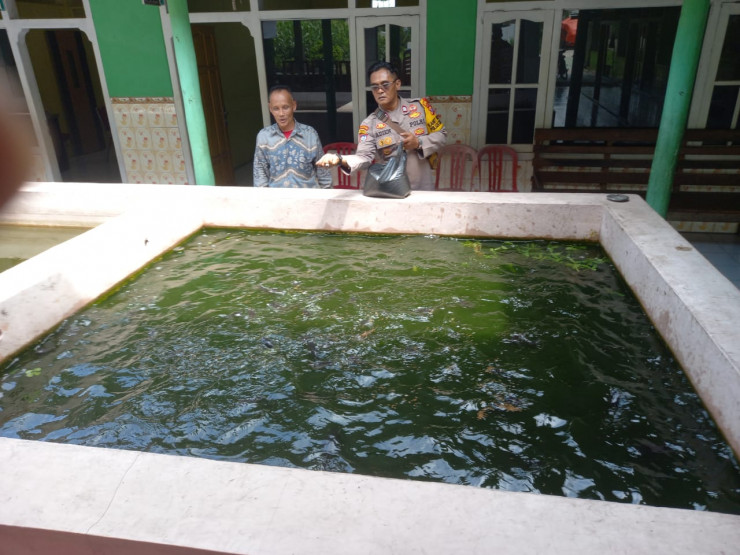 Kanit Binmas Polsek Krembung dan Kades Lemujut Tinjau Budidaya Ikan Gurami dan Lele di Lahan Bumdes