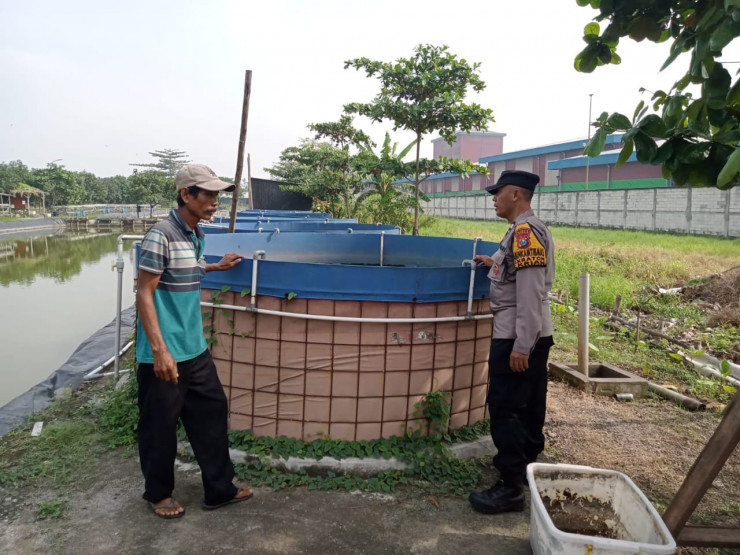 Bhabinkamtibmas Apresiasi Pembesaran Ikan Lele Warga di Lahan Ketahanan Pangan Desa Kraton Krian