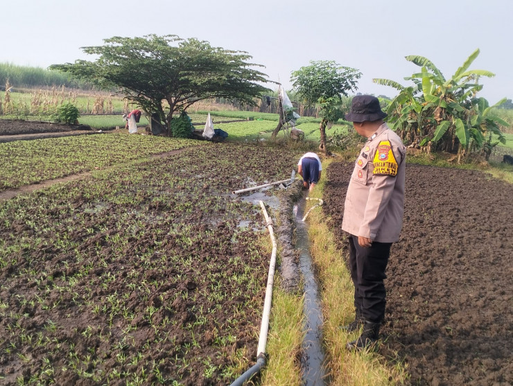 Pengairan Tanaman Sayuran di Lahan Warga Jadi Perhatian Bhabinkamtibmas Desa Jiken